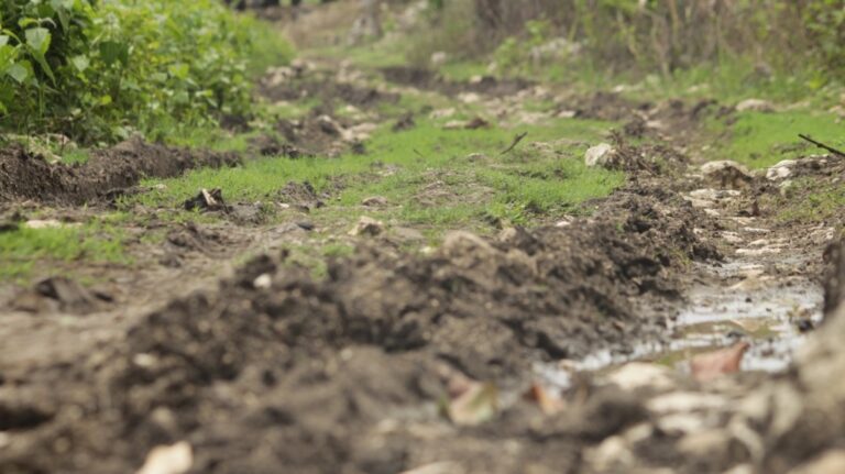 Estrada Sai Problemátiku Ba Suku Uatu-Haco Ho Uaioli