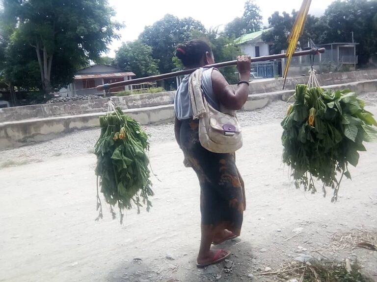 Rosa Obriga An Leba Modo Buka Osan, Tanba Nia Laen Moras iis Boot