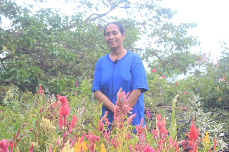 Tinan Haat Ona Efragia  Moris Ho Negósiu Ai-Funan