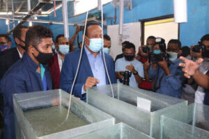 Hare Laboratorium Peskas UNITAL