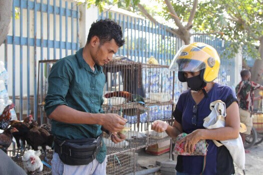 Ekonomia La Suporta Marcelo Deside Hapara Estudu 