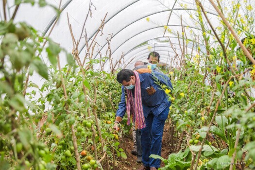 Xefe Kaza Sivil PR Husu liña Ministerial Apoiu Grupu Produtivo Atividade  Hortikultura