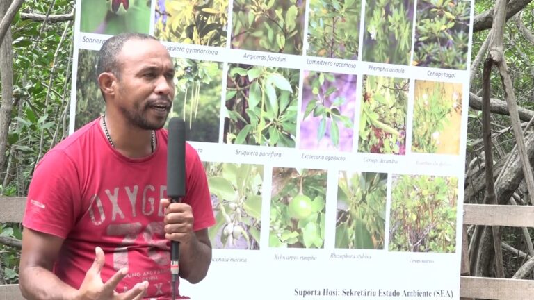 SENTRU ESTUDU MANGROV (Timor Leste)Video Documentariu Konservasaun Flora & Fauna (KFF)