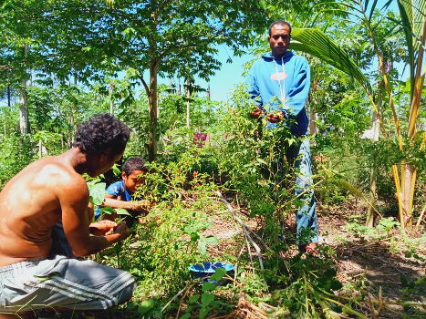 Domingos Harii Grupu Agrikultura Ho Osan $ 250 Nakfila Ba $ 2600