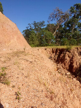 Estrada Suku Liurai Hasusar Povu Kiik Lori Folin Ba Merkadu Reméxiu