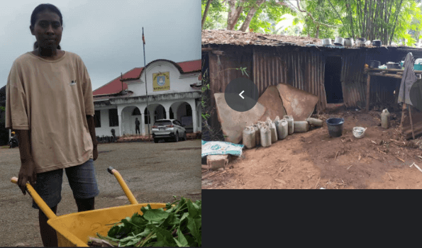 Luta Ho Pasiénsia Kanko Tahan Sai Namlaek Uma Ho Kondisaun Dodok No Oan Sai Husi Eskola  