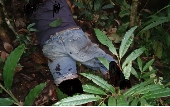 4 Indonesian Intelligences Shot Dead By TPNPB Troops In Sorong Raya-Papua