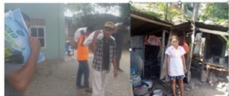 Faluk Maria Ulan Hatoo Agrdesimentu Ba Kompania Neno Unipesoal Lda