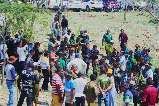  Distribui Ai-Oan Gratuita Fó Biban Ba Komunidade Hakbi’it Ekonómia