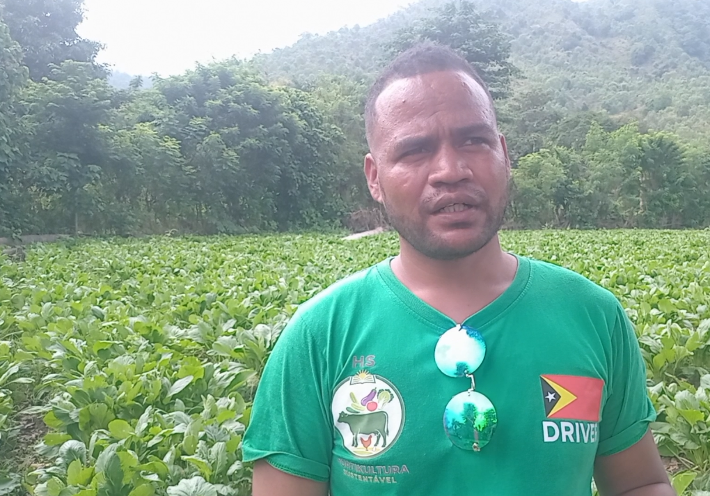 Grupu Hortikultura Sustentavel Prontu Fornese Modo Ba Merenda Eskola “ Tenke Hapara Produtu Rai-Liur”