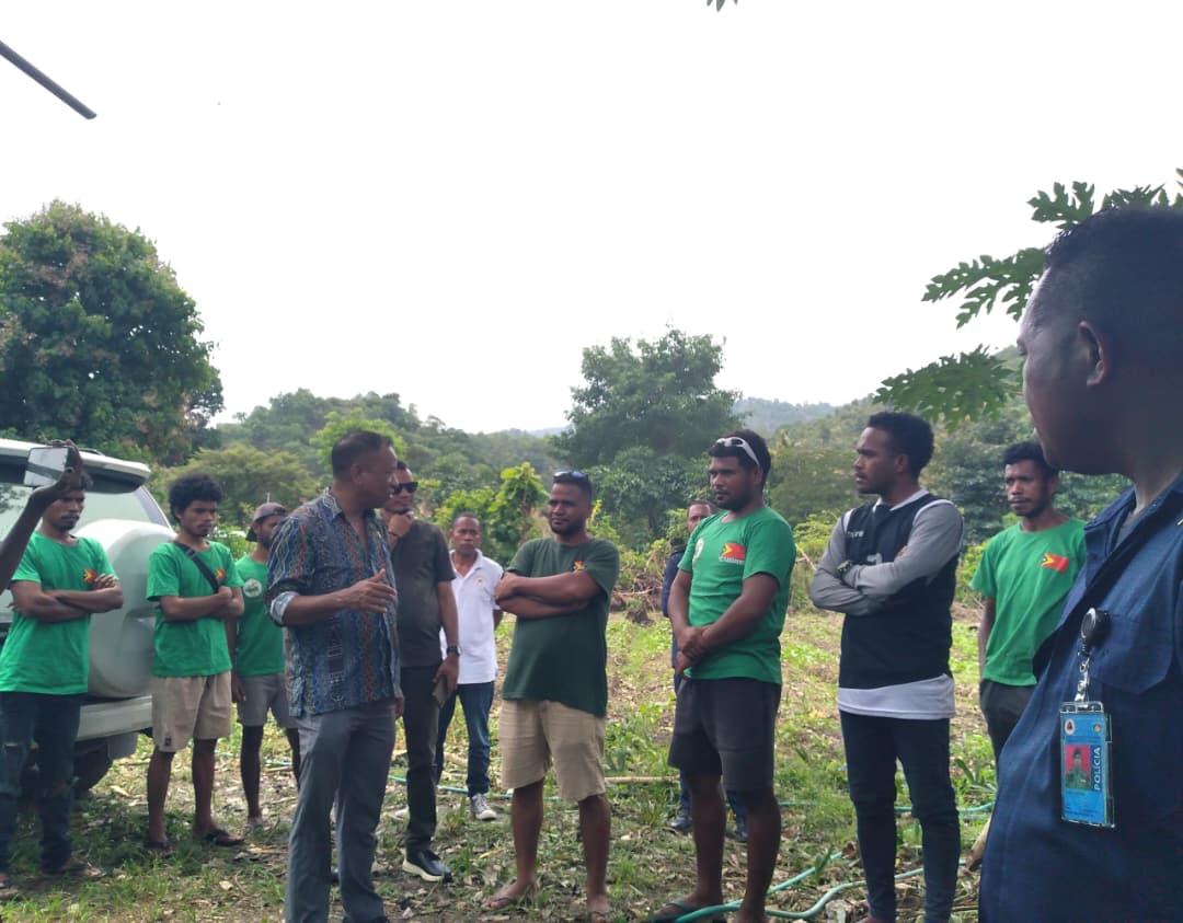Governu Apresia Joven Grupu HS Hadomi Agrikultura Hodi Hasa’e Produsaun Hortikultura Lokal