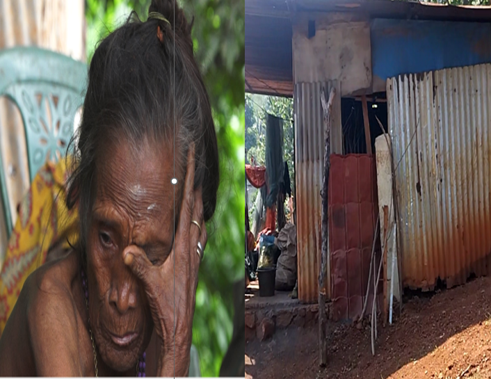 Idoza Domingas La Sente Uma Dignu Nia Furak Tan Laiha Eleitoral