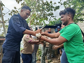 MAPPF Fornese Fini Manu-Rade 20 ba Grupu Hortikultura Sustentável Hakiak Hodi Haburas Ekonomia