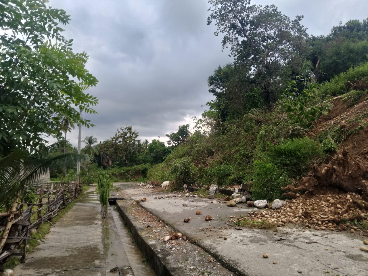 Komunidade Aldeia Lohorai Husu MOP Hadia Urjente Moru Protesaun
