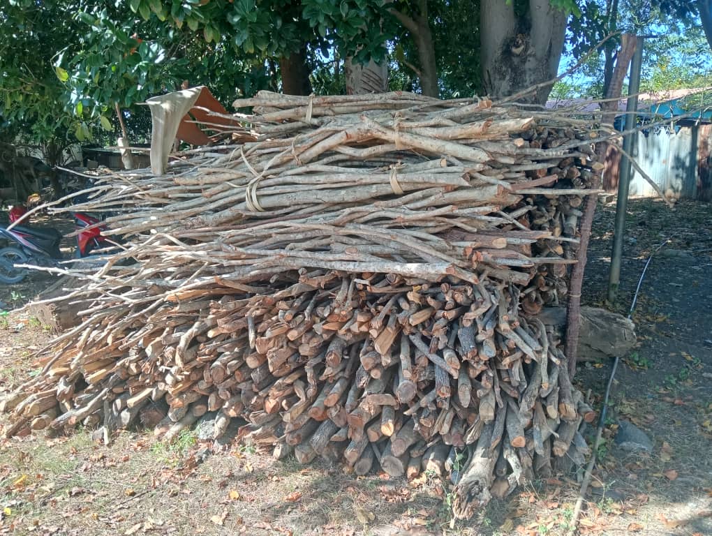 Komunidade Hili Ai-Maran Tenke Iha Karta Lisensa Hosi Floresta